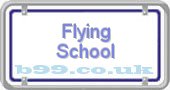 flying-school.b99.co.uk