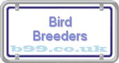 b99.co.uk bird-breeders